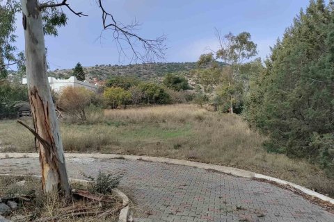 4 dormitorios Villa en Koropi, Greece No. 59696 5