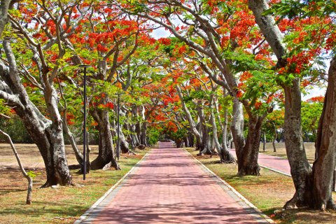 3 dormitorios Apartment en Grand Baie, Mauritius No. 60907 5