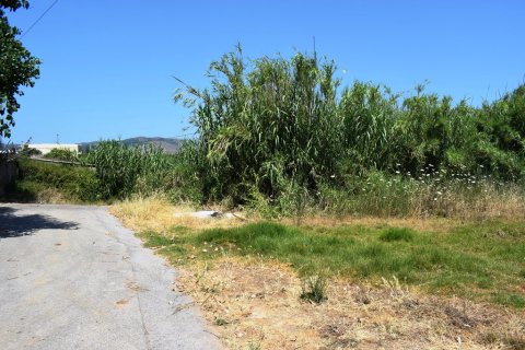 1000m² Land in Kolymvari, Greece No. 57225 1