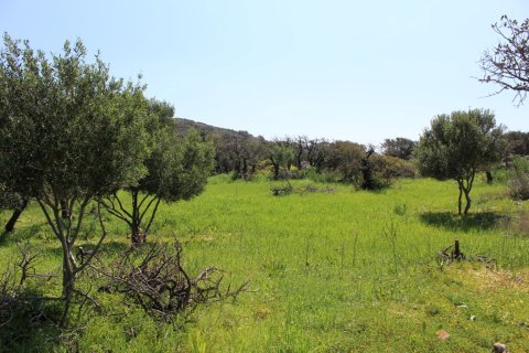 5889m² Land à Agios Nikolaos, Greece No. 57475 7