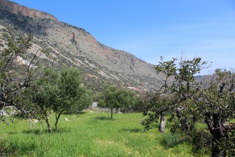 5889m² Land in Agios Nikolaos, Greece No. 57475 5