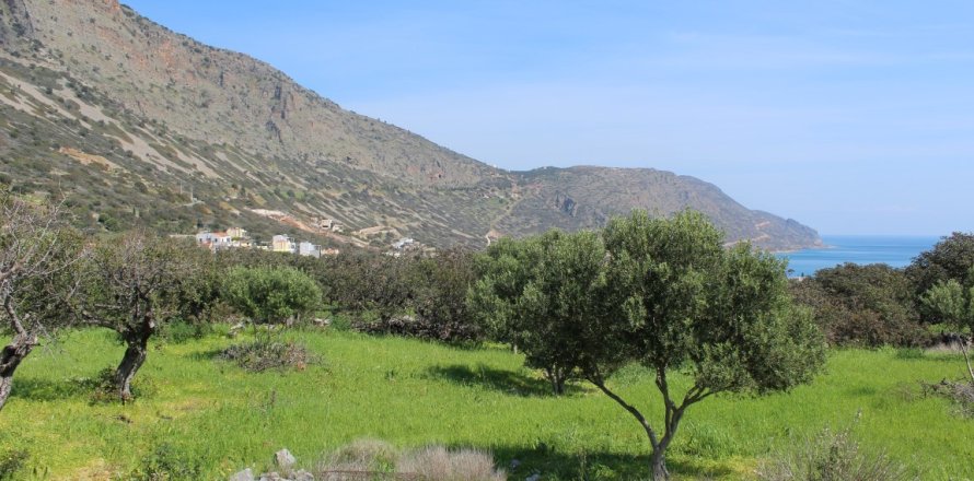 5889m² Land à Agios Nikolaos, Greece No. 57475