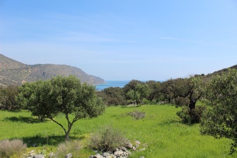 5889m² Land en Agios Nikolaos, Greece No. 57475 2