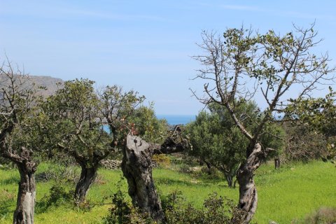 5889m² Land en Agios Nikolaos, Greece No. 57475 8