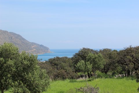 5889m² Land en Agios Nikolaos, Greece No. 57475 3