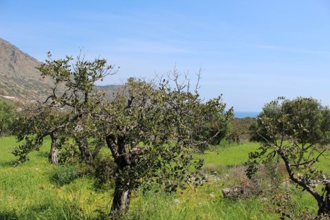 5889m² Land à Agios Nikolaos, Greece No. 57475 9