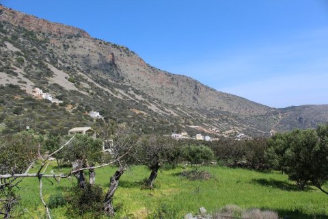 5889m² Land à Agios Nikolaos, Greece No. 57475 4