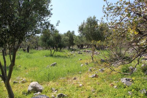 5889m² Land in Agios Nikolaos, Greece No. 57475 6