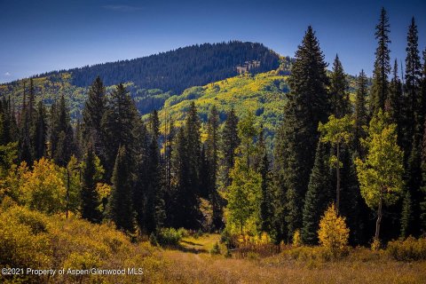 81.47m² Land à Glenwood Springs, USA No. 62176 10