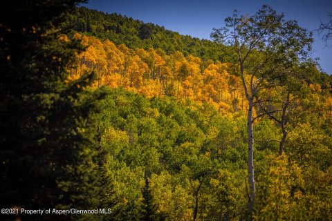 81.47m² Land à Glenwood Springs, USA No. 62176 13