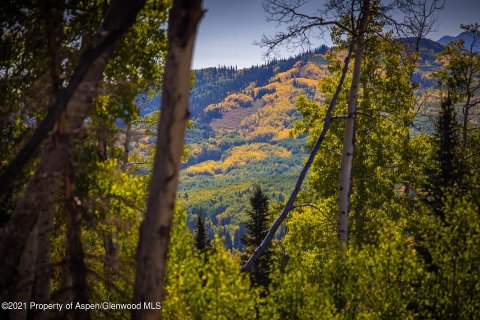 81.47m² Land à Glenwood Springs, USA No. 62176 12