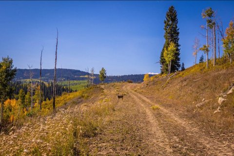 81.47m² Land à Glenwood Springs, USA No. 62176 18