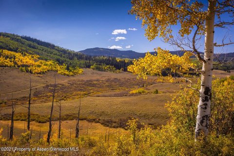 81.47m² Land à Glenwood Springs, USA No. 62176 14