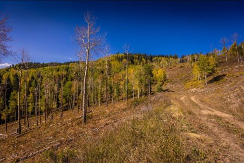 81.47m² Land en Glenwood Springs, USA No. 62176 19