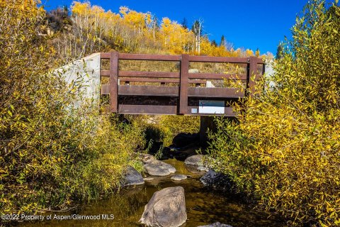 81.47m² Land en Glenwood Springs, USA No. 62176 22