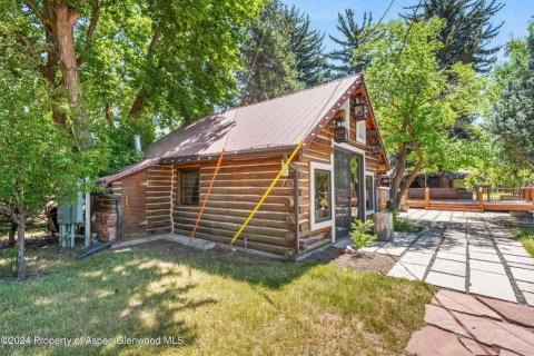 4 chambres House à Basalt, USA No. 62174 22