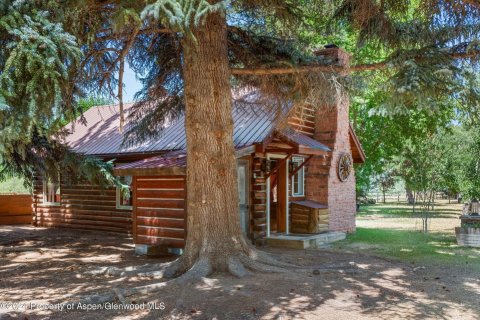 4 dormitorios House en Basalt, USA No. 62174 4