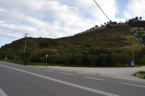 11000m² Land in Gazi, Greece No. 56547 4