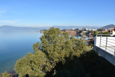 1 bedroom Apartment in Central Greece, Greece No. 52243 10