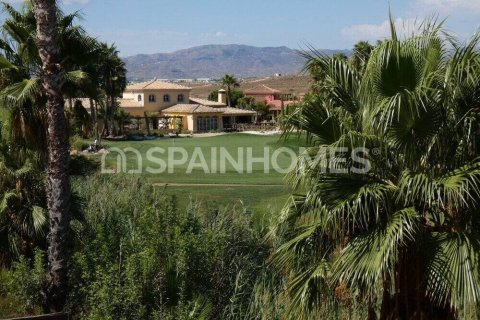 5 bedrooms Villa in Cuevas del Almanzora, Spain No. 26262 10