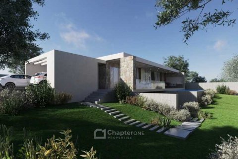 4 bedrooms Villa in Pegeia, Cyprus No. 63321 1