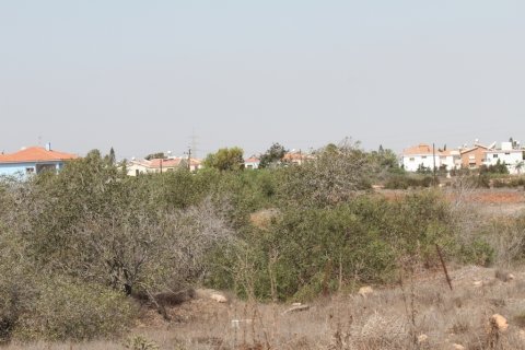 7700m² Land in Ayia Napa, Cyprus No. 36578 4