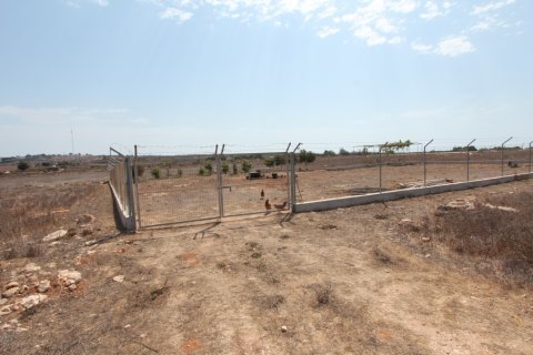 7700m² Land in Ayia Napa, Cyprus No. 36578 2