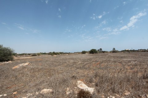 7700m² Land in Ayia Napa, Cyprus No. 36578 1