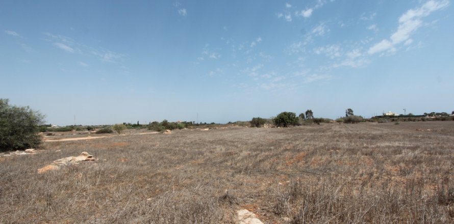 7700m² Land in Ayia Napa, Cyprus No. 36578