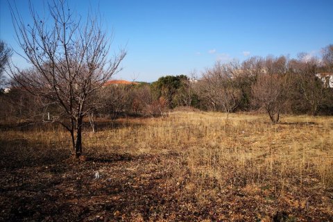 1860m² Land in Polygyros, Greece No. 57624 5