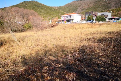 1860m² Land in Polygyros, Greece No. 57624 7