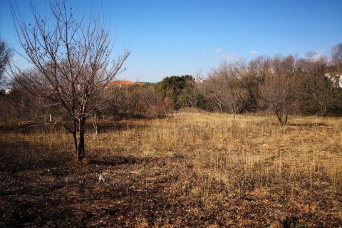 1860m² Land in Polygyros, Greece No. 57624 6