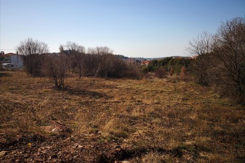 1860m² Land en Polygyros, Greece No. 57624 4