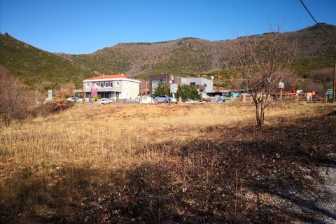 1860m² Land in Polygyros, Greece No. 57624 10