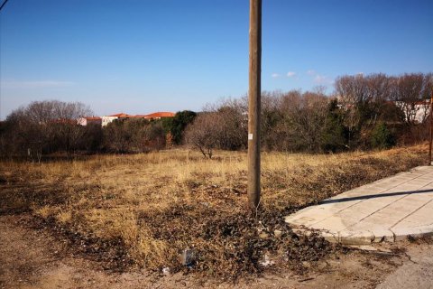 1860m² Land en Polygyros, Greece No. 57624 11