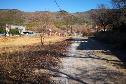 1860m² Land in Polygyros, Greece No. 57624 9