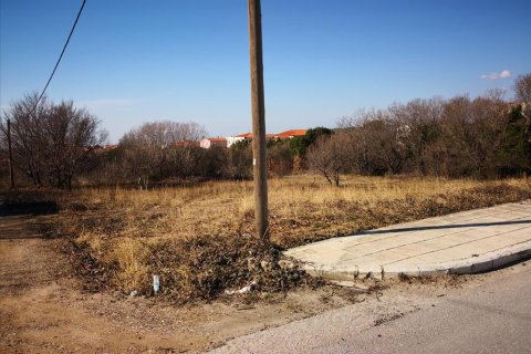 1860m² Land in Polygyros, Greece No. 57624 2