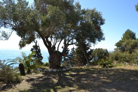 2 chambres House à Chalkidiki, Greece No. 58884 17