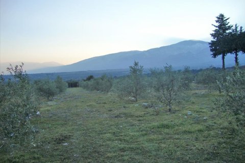 4300m² Land à Litochoro, Greece No. 58904 4