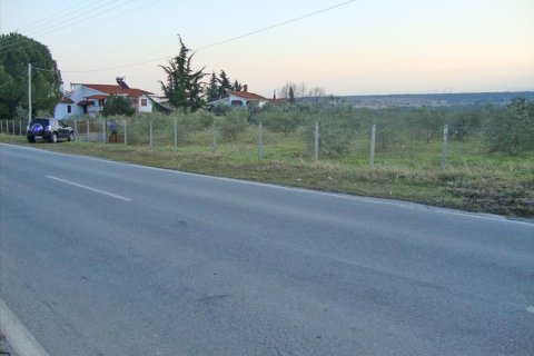 4300m² Land in Litochoro, Greece No. 58904 5