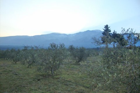 4300m² Land en Litochoro, Greece No. 58904 3