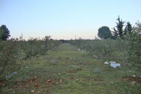 4300m² Land à Litochoro, Greece No. 58904 2