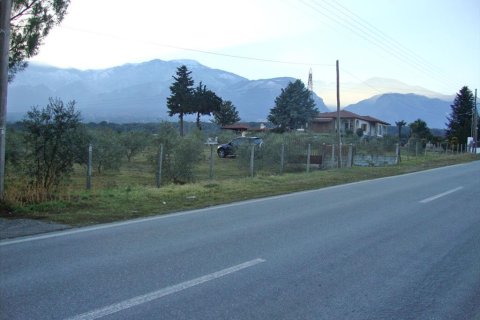 4300m² Land à Litochoro, Greece No. 58904 1