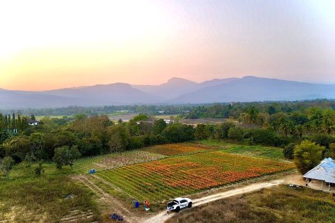 20 dormitorios Land en Chiang Mai, Thailand No. 1394 2