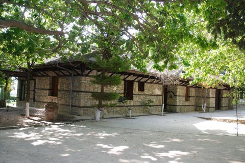 5 dormitorios Villa en Pieria, Greece No. 59909 4