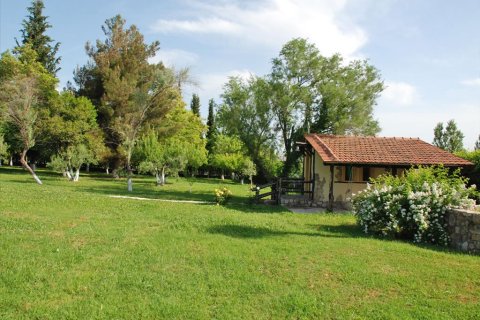 5 dormitorios Villa en Pieria, Greece No. 59909 14