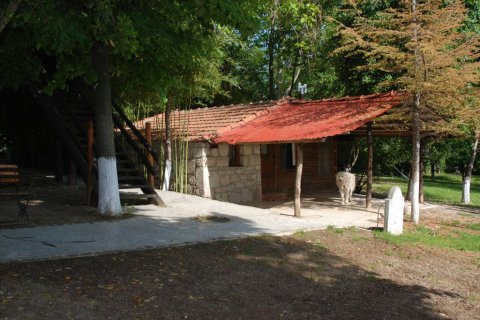 5 dormitorios Villa en Pieria, Greece No. 59909 11