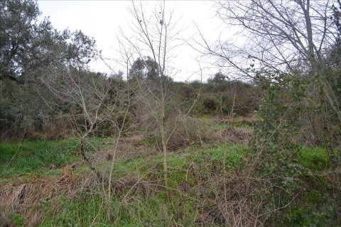 8200m² Land in Chalkidiki, Greece No. 59908 5