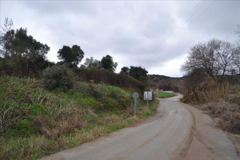 8200m² Land en Chalkidiki, Greece No. 59908 3