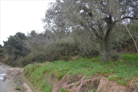 8200m² Land en Chalkidiki, Greece No. 59908 6